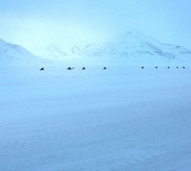 Do kin přichází dokument o cestě mladé vědkyně se třemi dětmi za polární kruh