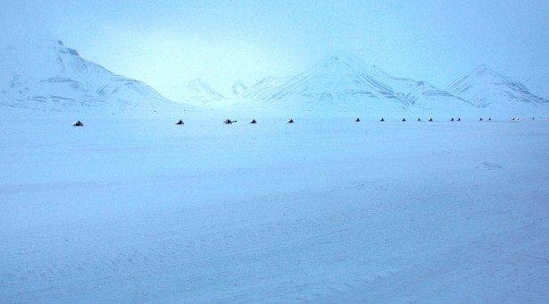 Do kin přichází dokument o cestě mladé vědkyně se třemi dětmi za polární kruh
