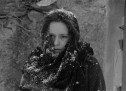 Do kin se vrátí legendární film Ivana Vojnára Cesta pustým lesem
